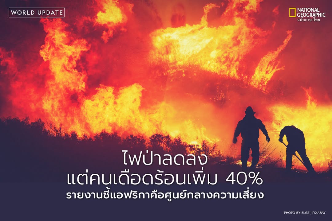 งานวิจัยที่เผยแพร่ในวารสาร-science-เปิดเผยว่าในช่วง-20-ปีที่