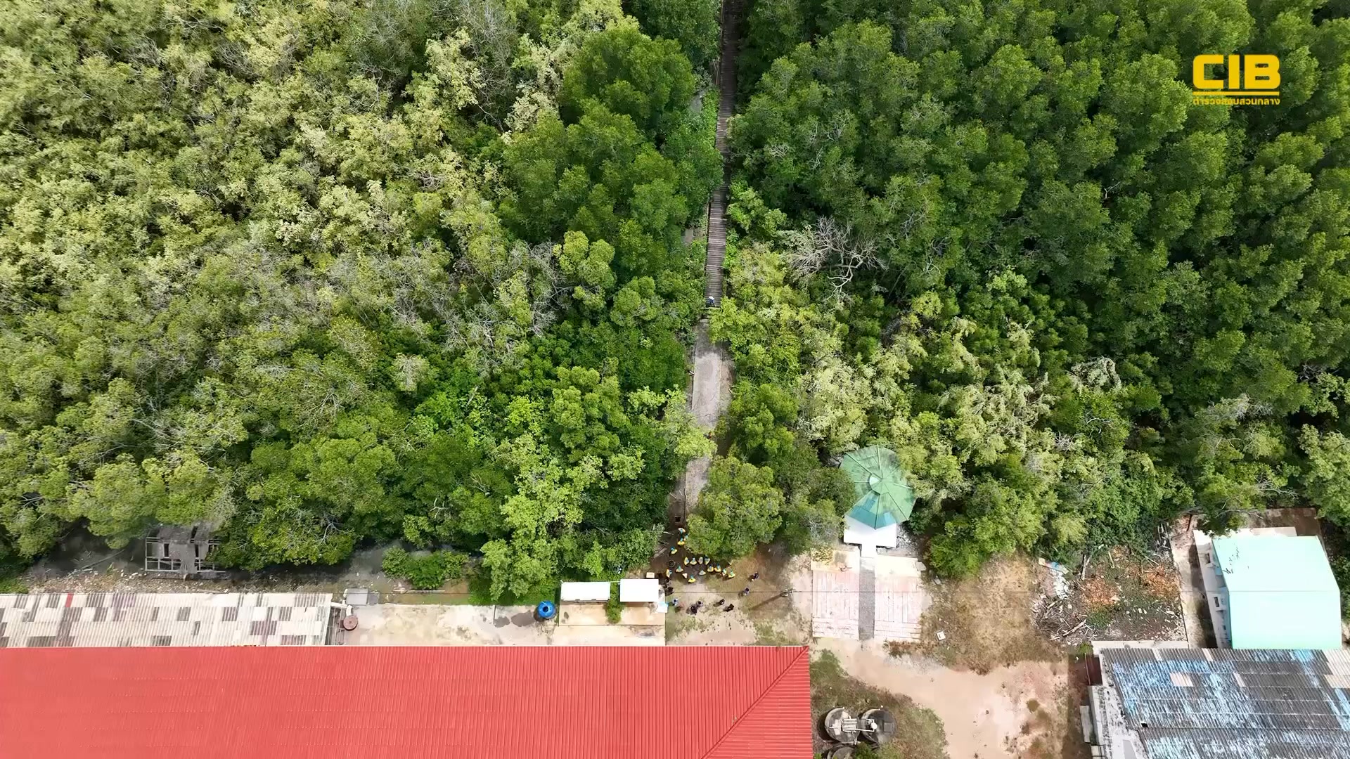 จิตอาสาตำรวจสอบสวนกลาง-ปลูกป่าชายเลน-โรงเรียนบางตะบูนว