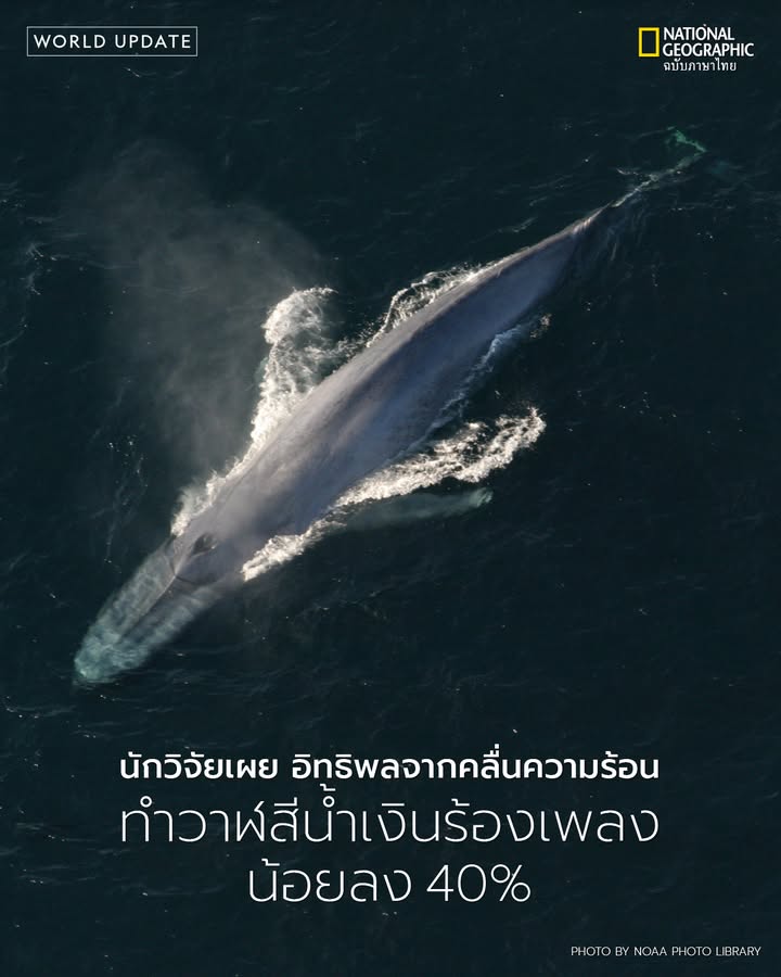 ใต้ผืนน้ำลึกนอกชายฝั่งแคลิฟอร์เนีย-นักวิทยาศาสตร์ได้ติดตั้งส