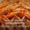 ทุกปี-โลกต้องรับมือกับขยะจากอาหารทะเลนับล้านตัน-โดยเฉพาะเปลื