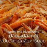 ทุกปี-โลกต้องรับมือกับขยะจากอาหารทะเลนับล้านตัน-โดยเฉพาะเปลื