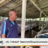 กังวล-“ภาษีทรัมป์”-ดิลแลกนำเข้าเนื้อหมูกระทบเกษตรกร-ผู้บริโภ