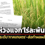 ‘สศช.’เตือนแจกเงิน’ชาวนา’ไร่ละ-1-พันบาท-ไม่เอื้อยกระดับแข่งขันฯ-ส่อทำผลผลิต’ข้าว’ล้นตลาด