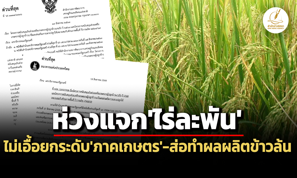 ‘สศช.’เตือนแจกเงิน’ชาวนา’ไร่ละ-1-พันบาท-ไม่เอื้อยกระดับแข่งขันฯ-ส่อทำผลผลิต’ข้าว’ล้นตลาด