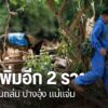 เหตุดินโคลนถล่มที่บ้านปางอุ๋ง-อำเภอแม่แจ่ม-จังหวัดเชียงใหม่