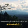️เขตรักษาพันธุ์สัตว์ป่าทุ่งใหญ่นเรศวร-ห้วยขาแข้ง-หัวใจแห่งผ