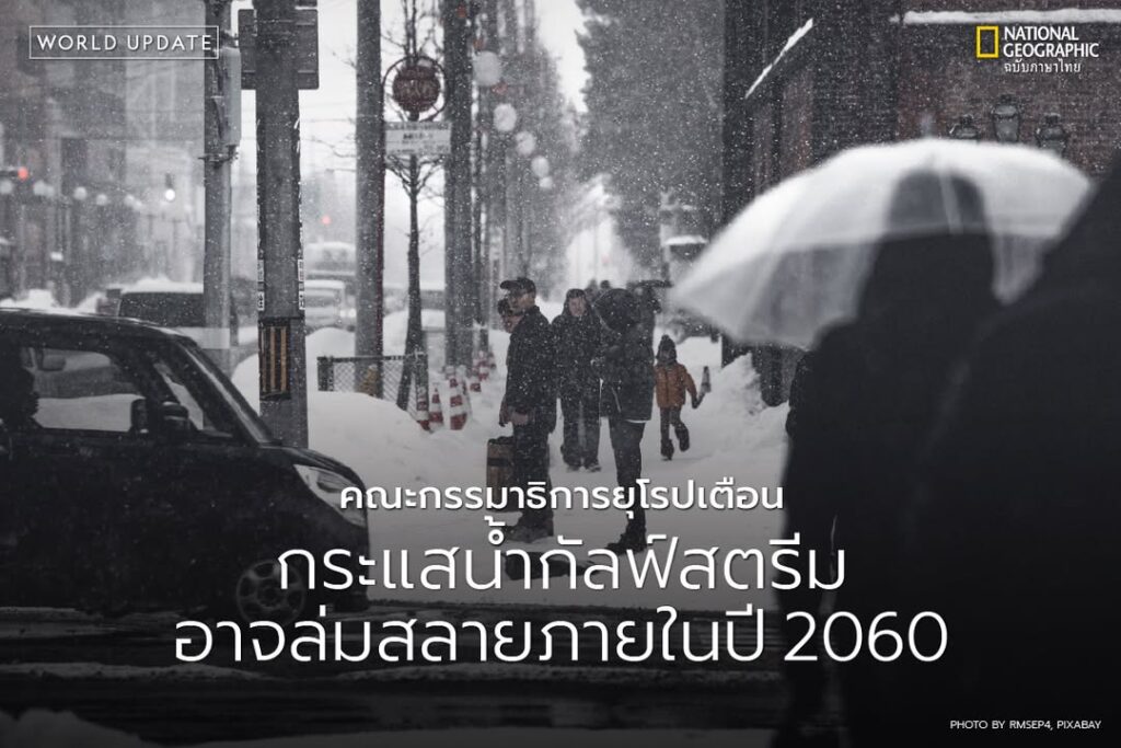 นักวิทยาศาสตร์และเจ้าหน้าที่ระดับสูงของคณะกรรมาธิการยุโรปออก
