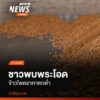 เกษตรกรผู้ปลูกข้าวโพดในอำเภอพบพระ-จังหวัดตาก-กำลังเผชิญวิกฤต