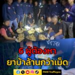 ตชด-43-สนธิกำลังร่วม-ปปส.ทลายเครือข่ายยานรก-จับ-6-ผู้ต้อง-|-2025-09-01-17:04:00