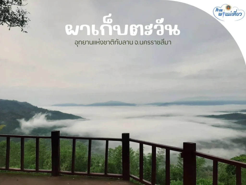 🩵สิงหาพาแม่เที่ยว-ผาเก็บตะวัน-อุทยานแห่งชาติทับลาน-จังหวัดนค