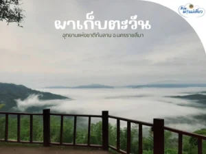 🩵สิงหาพาแม่เที่ยว-ผาเก็บตะวัน-อุทยานแห่งชาติทับลาน-จังหวัดนค