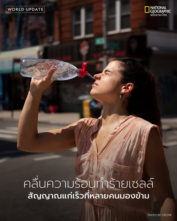 ผลการศึกษาล่าสุดเผยว่า-การเผชิญกับอากาศร้อนจัดซ้ำ-ๆ-เร่งกระบ