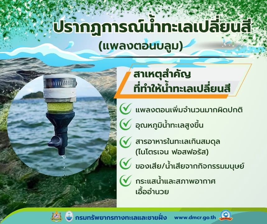 -วันนี้จะพาทุกคนมาทำความรู้จัก-️-ปรากฏการณ์น้ำทะเลเปลี่ยนส