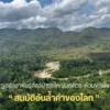 เขตรักษาพันธุ์สัตว์ป่าทุ่งใหญ่นเรศวร-ห้วยขาแข้ง-สมบัติอันล้