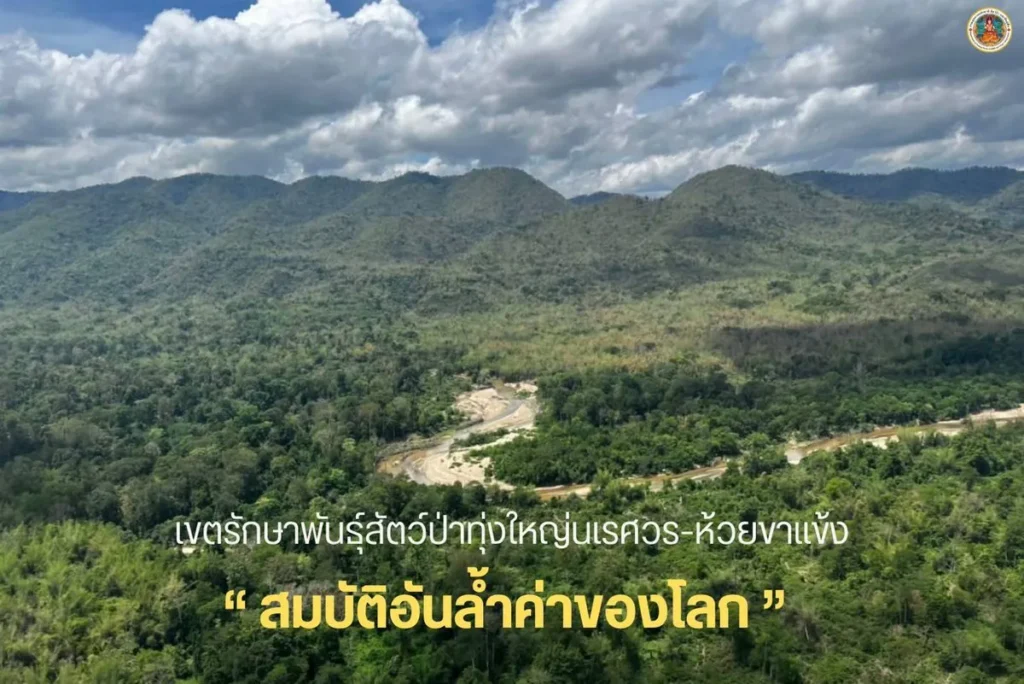 เขตรักษาพันธุ์สัตว์ป่าทุ่งใหญ่นเรศวร-ห้วยขาแข้ง-สมบัติอันล้