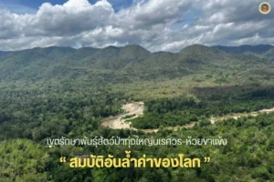 เขตรักษาพันธุ์สัตว์ป่าทุ่งใหญ่นเรศวร-ห้วยขาแข้ง-สมบัติอันล้