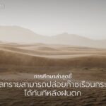 งานวิจัยใหม่จากมหาวิทยาลัยเบนกูเรียนแห่งเนเกฟ-ประเทศอิสราเอล