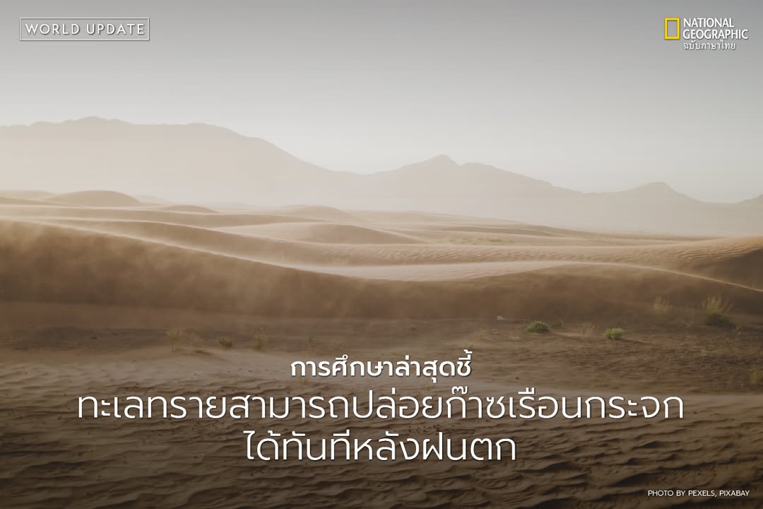 งานวิจัยใหม่จากมหาวิทยาลัยเบนกูเรียนแห่งเนเกฟ-ประเทศอิสราเอล