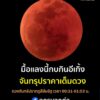 คืนแลงนี้ชมกบกินอีเกิ้ง-คืนวันที่-7-ถึงเช้ามืด-8-กันยายน-256