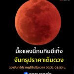 คืนแลงนี้ชมกบกินอีเกิ้ง-คืนวันที่-7-ถึงเช้ามืด-8-กันยายน-256
