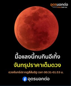 คืนแลงนี้ชมกบกินอีเกิ้ง-คืนวันที่-7-ถึงเช้ามืด-8-กันยายน-256