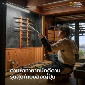 ในโรงนาที่ถูกดัดแปลงเป็นเวิร์กช็อปในตรอกเงียบสงบบนคาบสมุทรทั