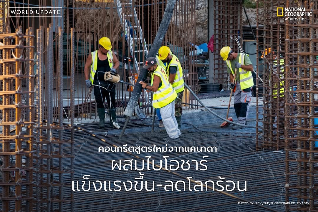 ไม่ว่าจะซ่อมถนนหรือสร้างบ้าน-คอนกรีตคือวัสดุหลักที่ใช้กันทั่