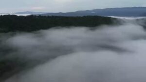 สายหมอกแล่นฉิวบน-“จุดชมวิวภูหัวฮ่อม”-อุทยานแห่งชาติภูสวนทราย