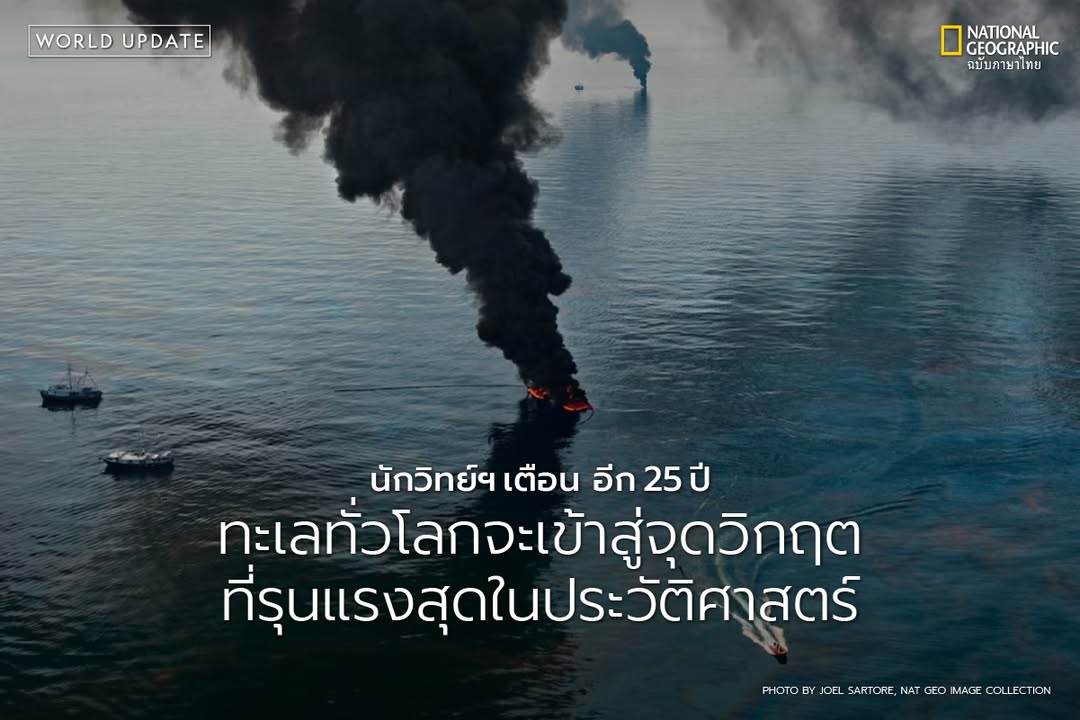 แม้ทะเลจะกว้างใหญ่และดูเหมือนไม่มีวันหมดสิ้น-แต่ผลการศึกษาล่