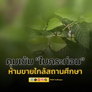 “ยุติธรรม-สธ.”-่รวมลงนามในประกาศ-คุมเข้มห้ามขาย-“ใบกระท่อม”-|-2025-09-11-07:46:00