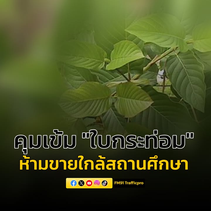 “ยุติธรรม-สธ.”-่รวมลงนามในประกาศ-คุมเข้มห้ามขาย-“ใบกระท่อม”-|-2025-09-11-07:46:00