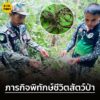 อุทยานแห่งชาติแก่งกรุง-จ.สุราษฎร์ธานี-เปิดภารกิจพิทักษ์ชีวิต-|-2025-09-11-07:37:00