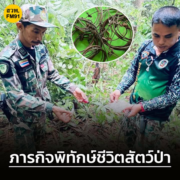 อุทยานแห่งชาติแก่งกรุง-จ.สุราษฎร์ธานี-เปิดภารกิจพิทักษ์ชีวิต-|-2025-09-11-07:37:00