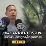 ผู้การนิติเวช-เผยผลชันสูตรศw-เจ้าหน้าที่สวนสัตว์ถูกสิงโตรุมทำร้าย-พ-|-2025-09-11-07:26:00