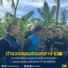 รวบอดีตพนักงานเทศบาล-รับจ้างเปิดบัญชีม้า-ลวงขายรถยนต์มือสอง