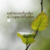 องค์ประกอบที่ถูกต้อง-นำไปสู่สมาธิที่ถูกต้อง-ว่าด้วยบริขารแห่-|-2025-09-16-13:53:00