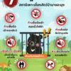 7-ข้อปฏิบัติเข้าชมหมี-ในสถานีเพาะเลี้ยงสัตว์ป่าบางละมุง-จังห