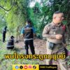 พบโครงกระดูกมนุษย์ในป่าละเมาะ-หลังสำนักงานที่ดินฯ-ชาวบ้านคาด-|-2025-09-19-16:16:00