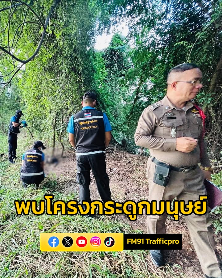 พบโครงกระดูกมนุษย์ในป่าละเมาะ-หลังสำนักงานที่ดินฯ-ชาวบ้านคาด-|-2025-09-19-16:16:00
