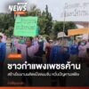 ประชาชนบ้านเกาะตาล-ยื่นหนังสือคัดค้านการสร้างโรงงานผลิตแป้งข