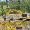 ปทส.บุกจับขบวนการลักลอบขุดป่าสงวนอมก๋อยเตรียมยึดป่าทั้งผืน->-|-2025-09-20-18:01:00
