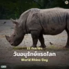 22-กันยายน-“วันอนุรักษ์แรดโลก”-(world-rhino-day)-เพื่อสร้างค