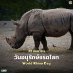 22-กันยายน-“วันอนุรักษ์แรดโลก”-(world-rhino-day)-เพื่อสร้างค