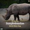 22-กันยายน-“วันอนุรักษ์แรดโลก”-วันที่-22-กันยายนของทุกปีตรงก