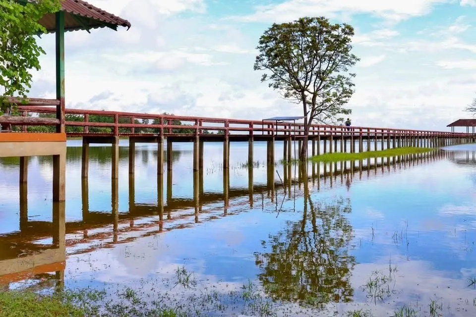 เขตห้ามล่าสัตว์ป่าบึงบอระเพ็ด-จ.นครสวรรค์-ขอความร่วมมืองดกาง