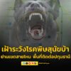 กรุงเทพมหานครเตือนเฝ้าระวังโรคพิษสุนัขบ้า-ย่านเขตสายไหม-(พื้นที่ติดต่-|-2025-09-26-02:13:00