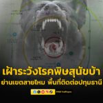 กรุงเทพมหานครเตือนเฝ้าระวังโรคพิษสุนัขบ้า-ย่านเขตสายไหม-(พื้นที่ติดต่-|-2025-09-26-02:13:00