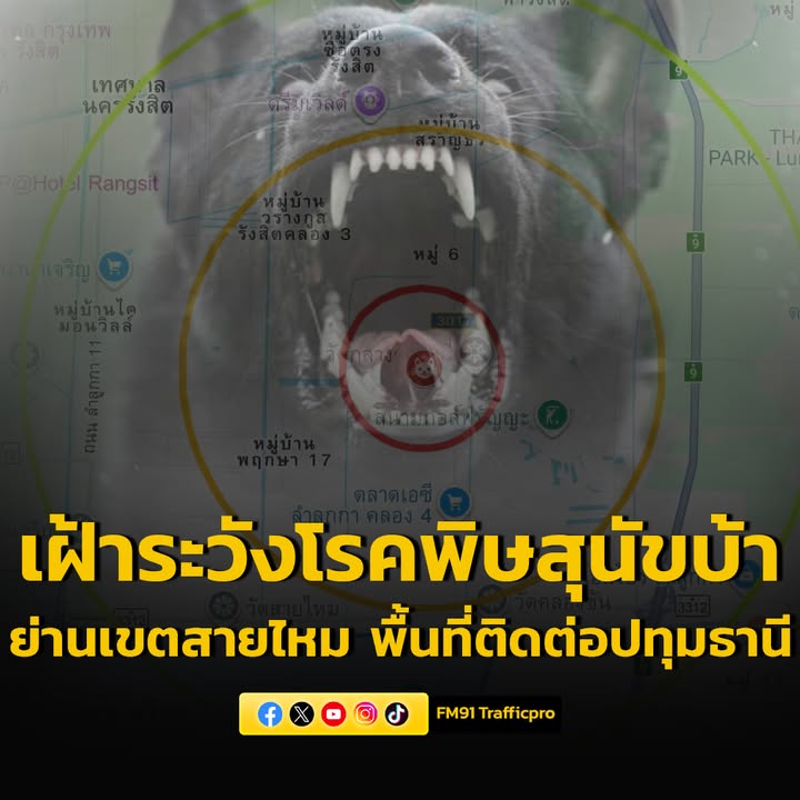 กรุงเทพมหานครเตือนเฝ้าระวังโรคพิษสุนัขบ้า-ย่านเขตสายไหม-(พื้นที่ติดต่-|-2025-09-26-02:13:00