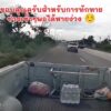 triton-️-vigo-crเเฟนเพจ.