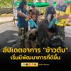 ศูนย์พัฒนาการจัดการสัตว์ป่าบึงฉวากและเขตห้ามล่าสัตว์ป่าบึงฉว-|-2025-09-27-03:25:00
